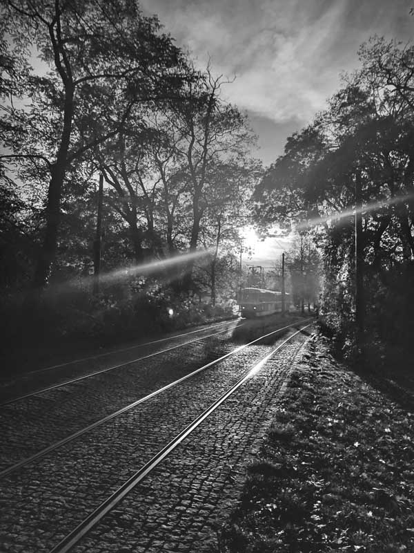 Love Your Tram!